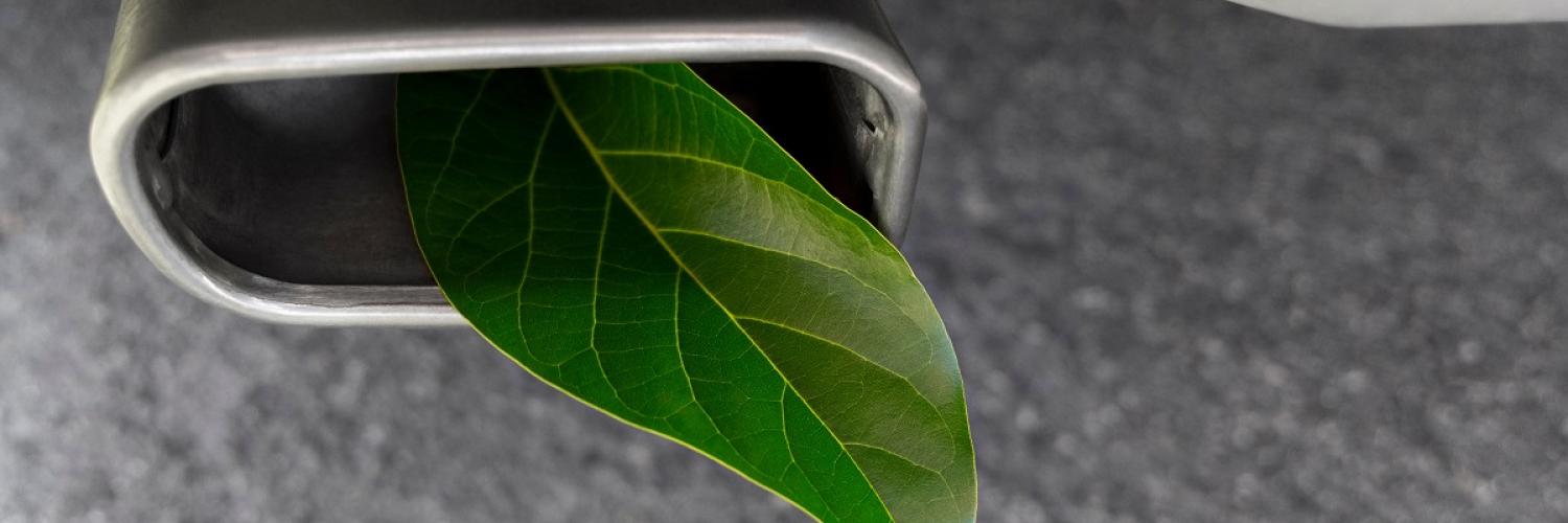 A green leaf in a car exhaust