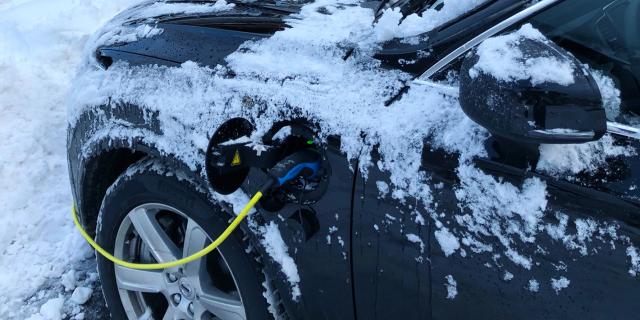 Holiday Tips Winter