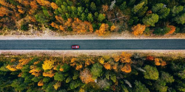 A car riding on a road in Autumn
