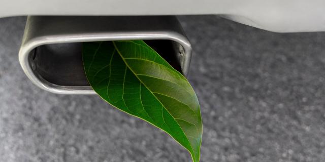 A green leaf in a car exhaust