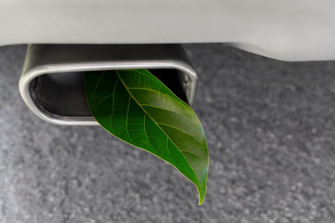 A green leaf in a car exhaust
